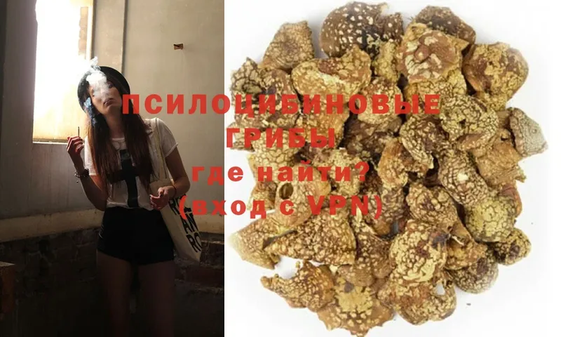 Галлюциногенные грибы MAGIC MUSHROOMS  Касли 